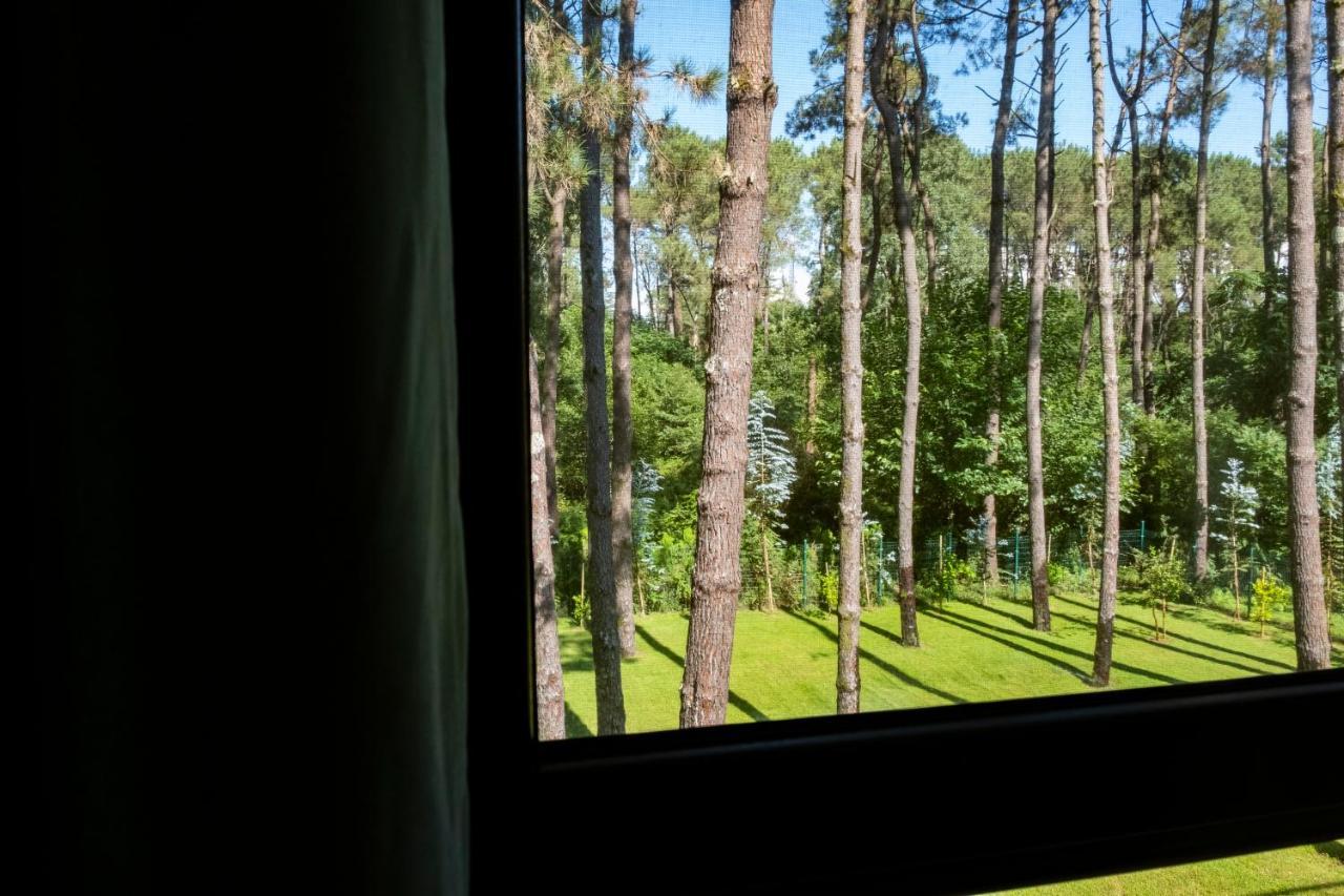 Buxus Hotel Shekvetili Exterior foto