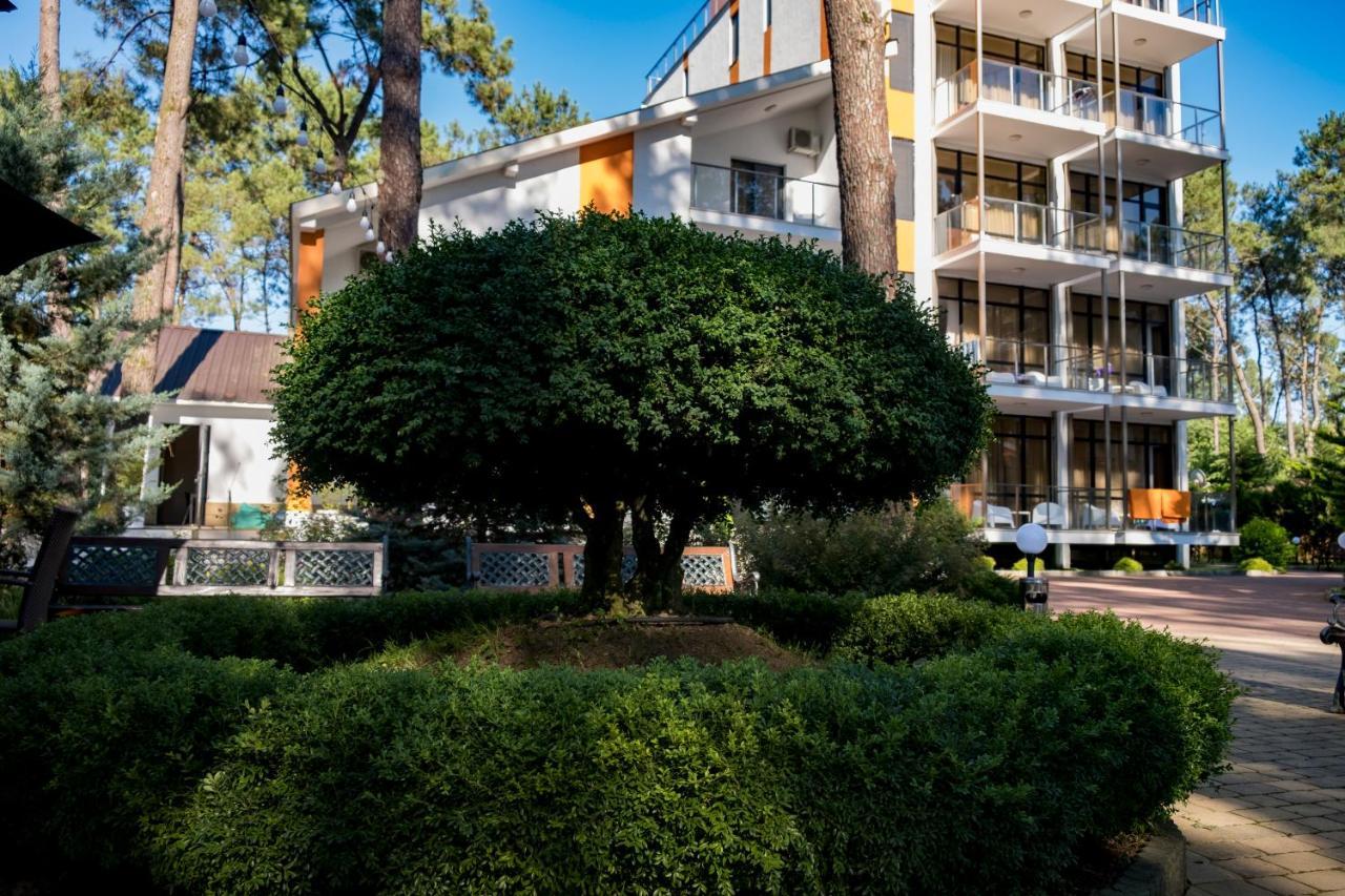 Buxus Hotel Shekvetili Exterior foto